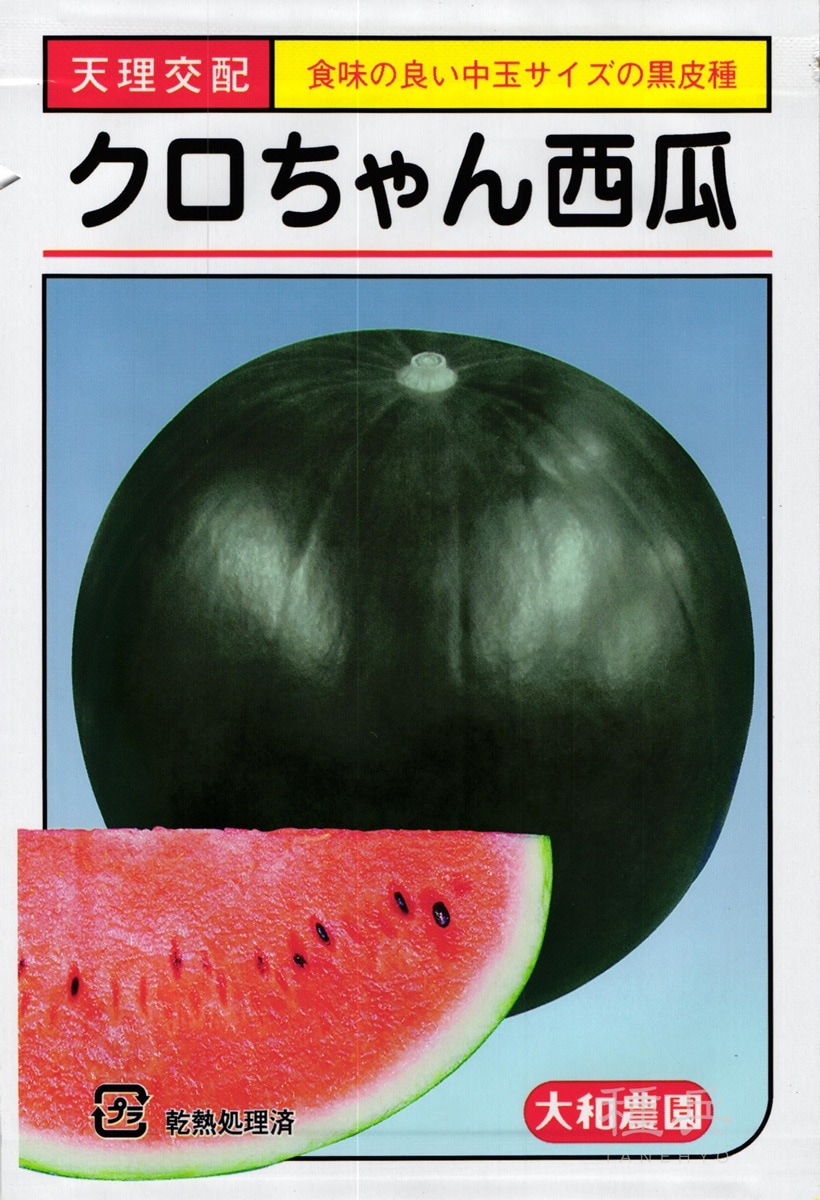 黒皮中玉スイカ 種 『クロちゃん』 大和農園 | たね,果菜の種,スイカ