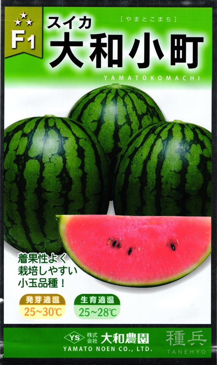 小玉スイカ 種 『大和小町』  大和農園