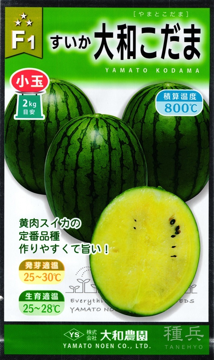 黄肉小玉スイカ 種 『大和こだま』  大和農園