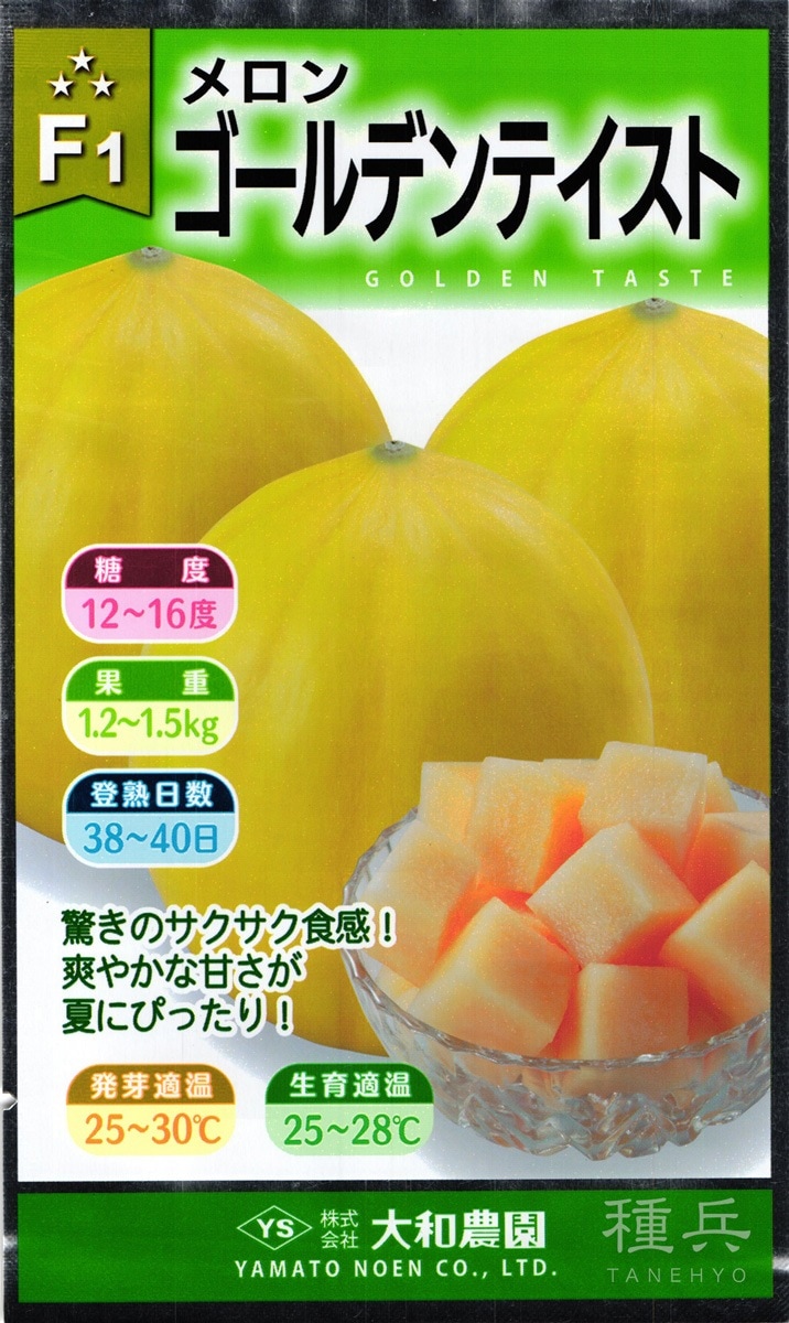 黄皮ノーネット赤肉メロン 種 『ゴールデンテイスト』  大和農園