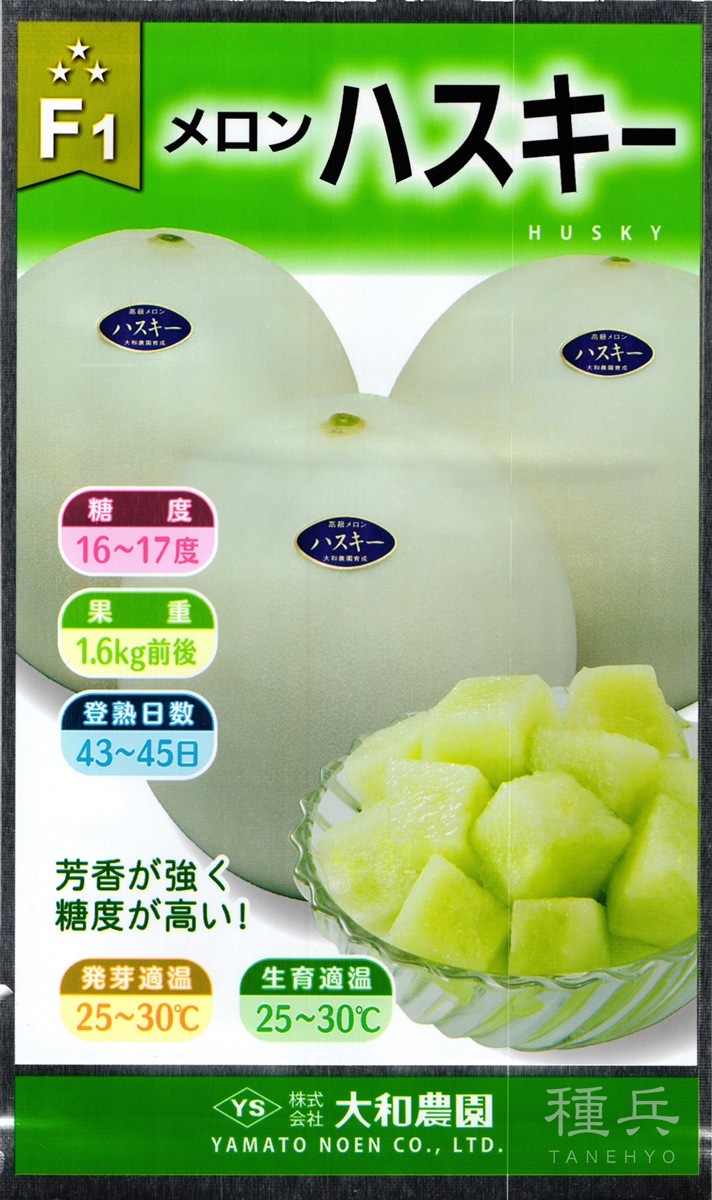白皮ノーネットメロン 種 『ハスキー』  大和農園