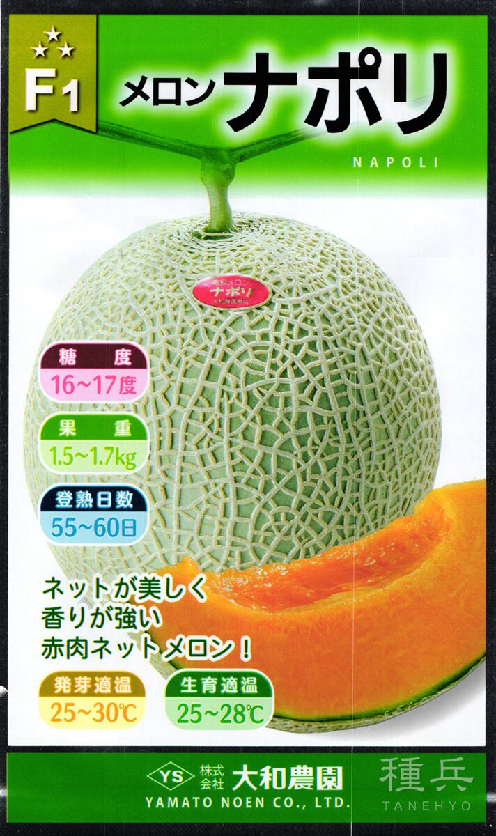 赤肉ネットメロン 種 『ナポリ』  大和農園