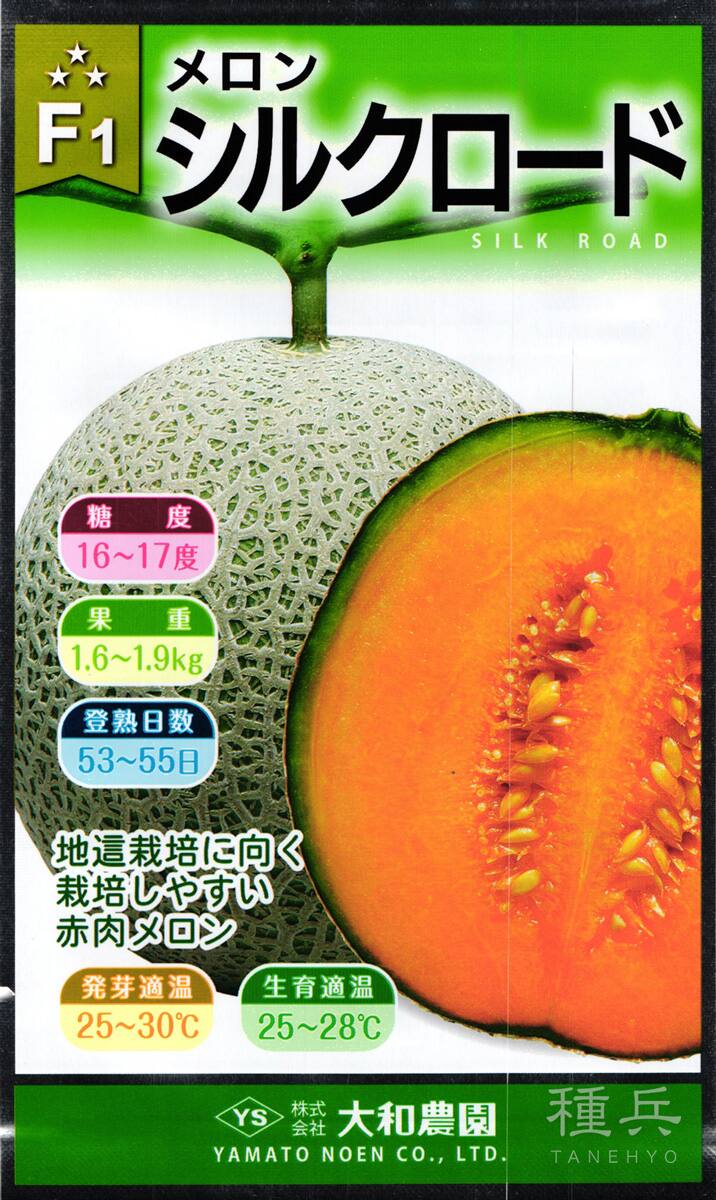 赤肉ネットメロン 種 『シルクロード』  大和農園