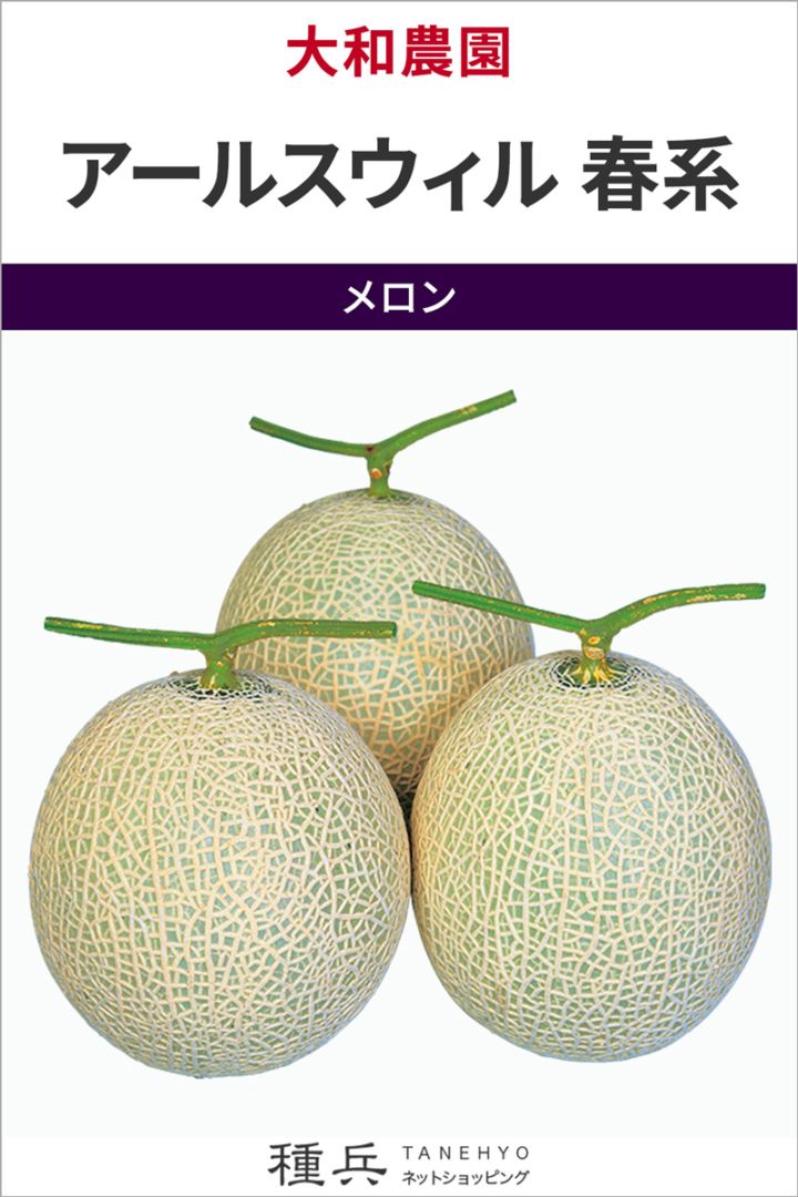 緑肉ネットメロン 種 『アールスウィル 春系』  大和農園