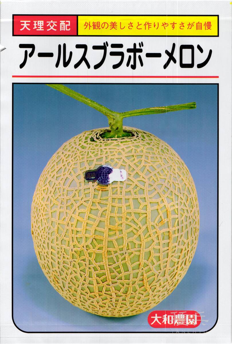 緑肉ネットメロン 種 『アールスブラボー 早春晩秋系』  大和農園