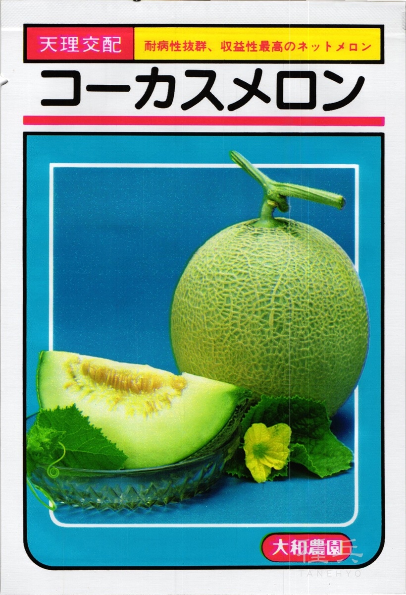 緑肉ネットメロン 種 『コーカス』  大和農園