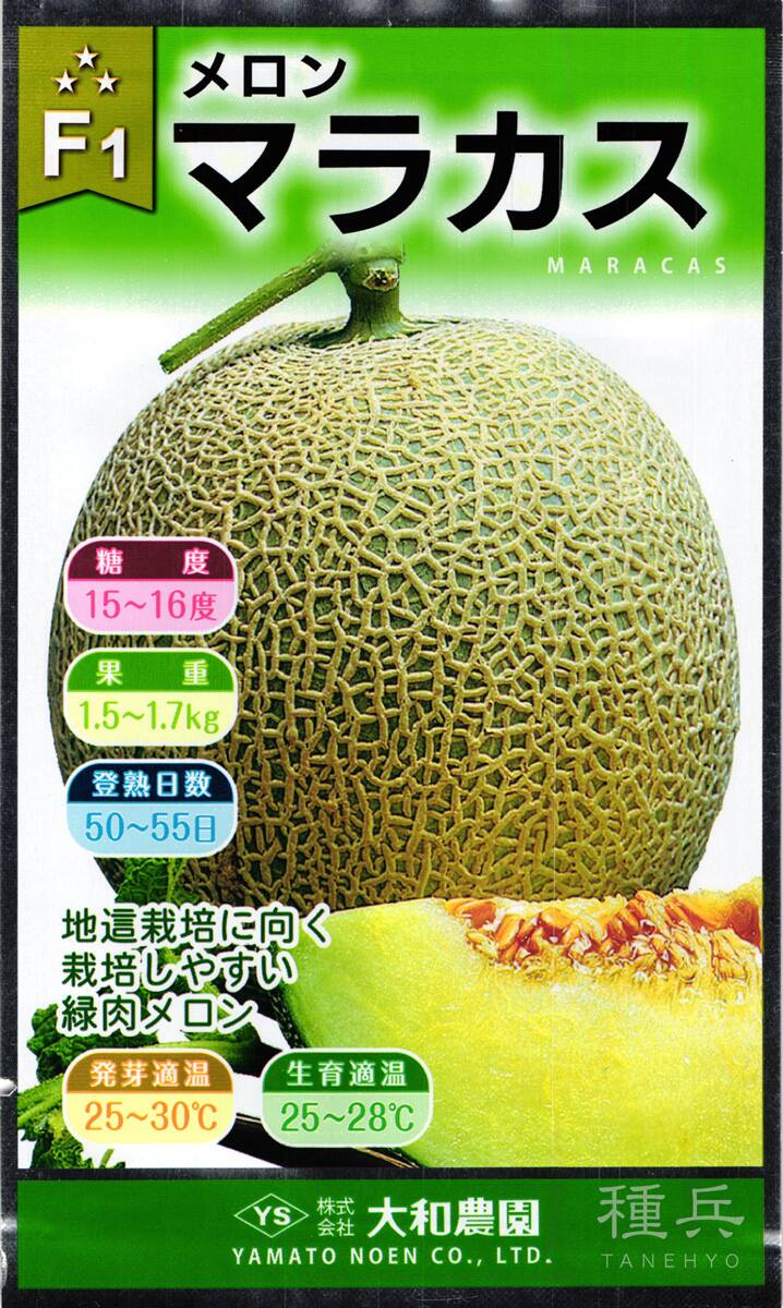 新鮮な緑色メロン メロンの苗 らくらく極甘！緑肉ネットメロン 盛夏系2個～【野菜
