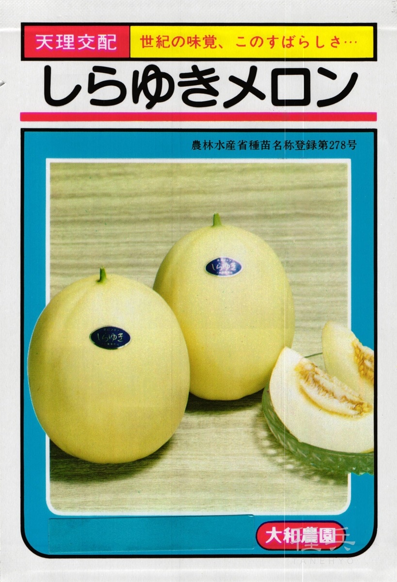 白皮ノーネットメロン 種 『しらゆき』  大和農園
