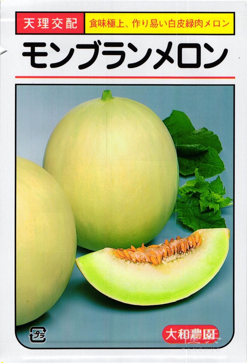 白皮ノーネットメロン 種 『モンブラン』  大和農園