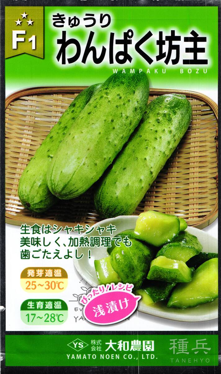 半白短形太キュウリ 種 『わんぱく坊主』  大和農園