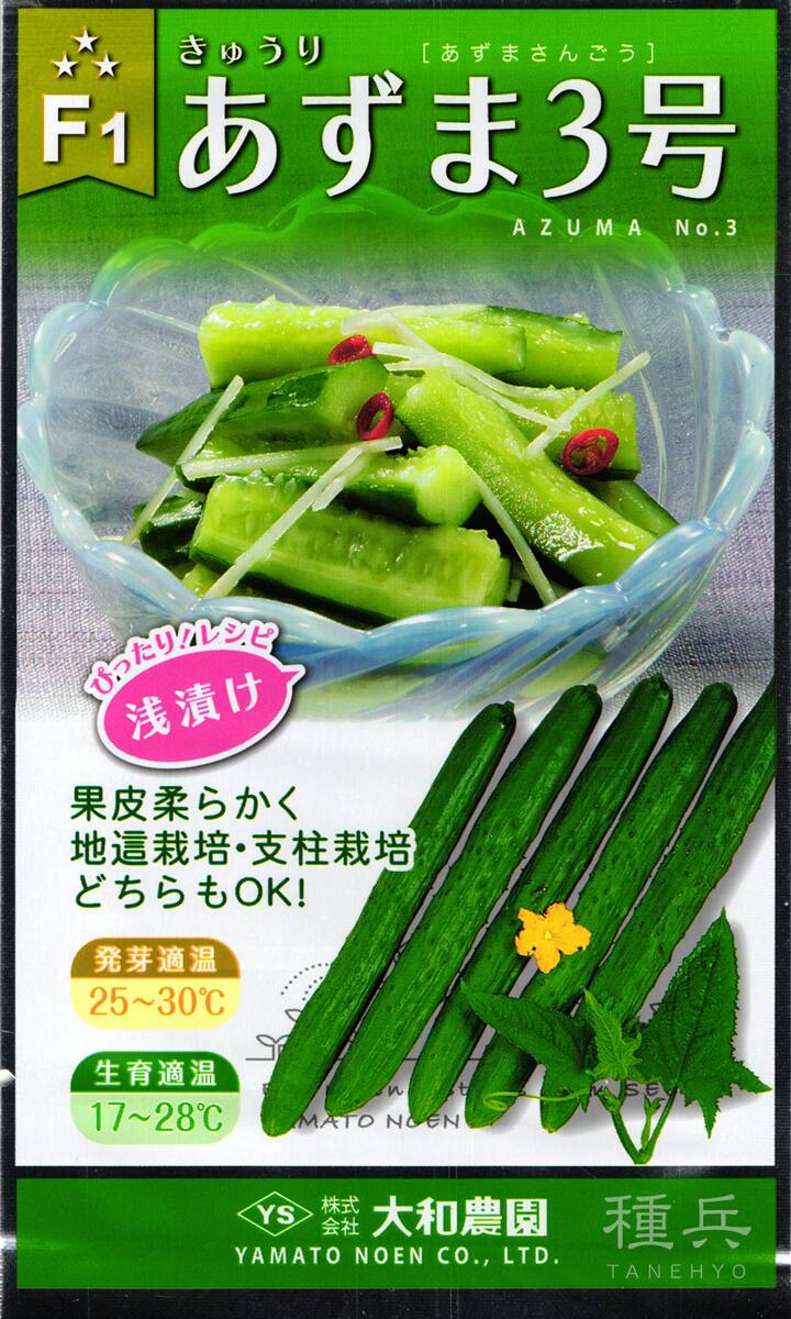 地ばい兼用キュウリ 種 『あずま3号』  大和農園