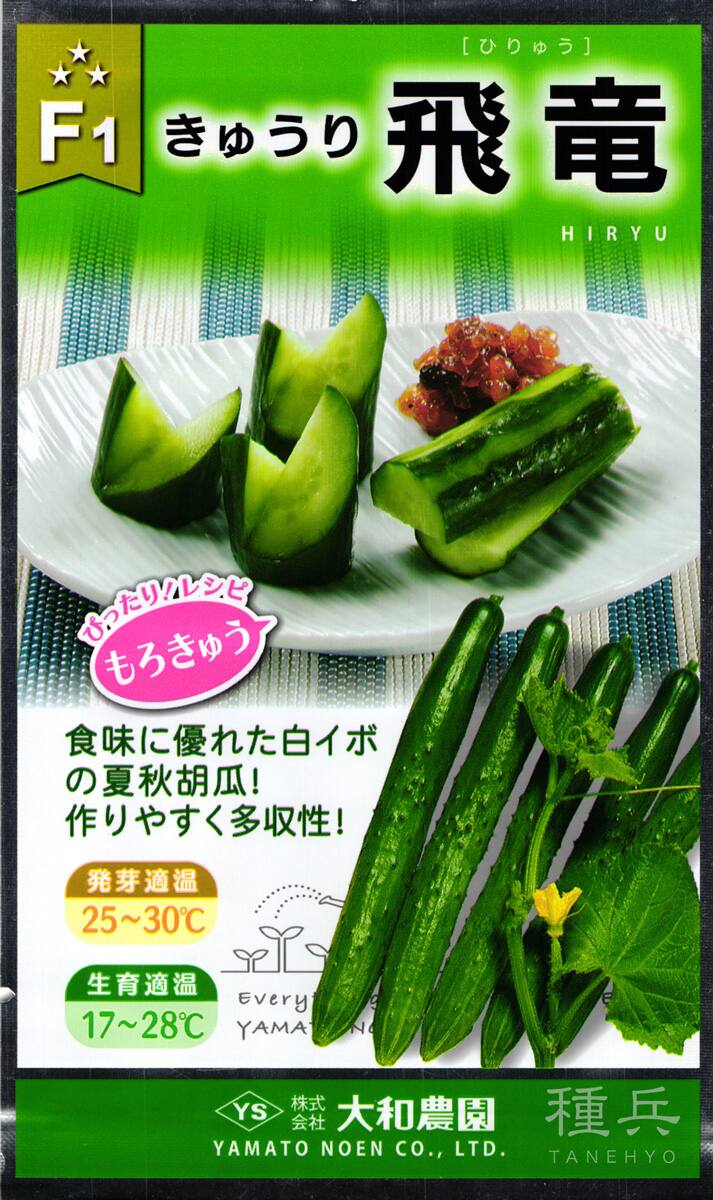 キュウリ 種 『飛竜』  大和農園