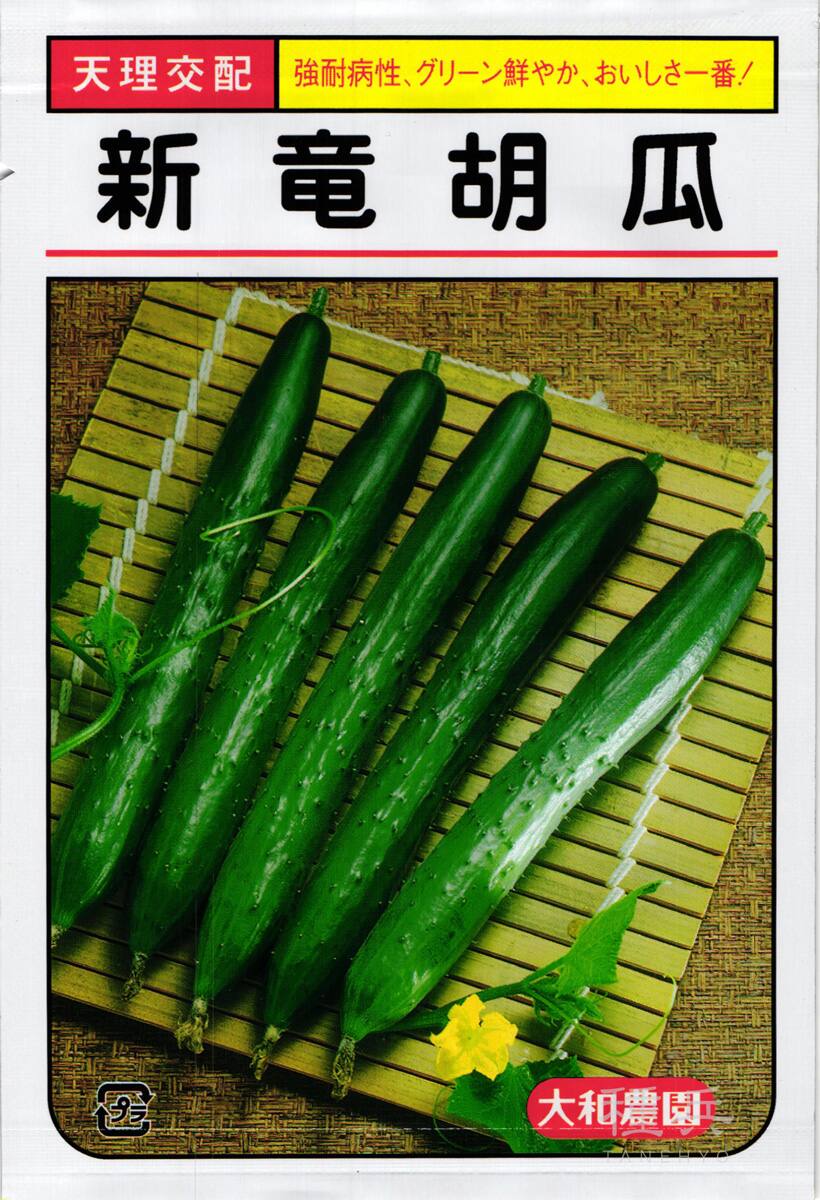 キュウリ 種 『新竜』  大和農園