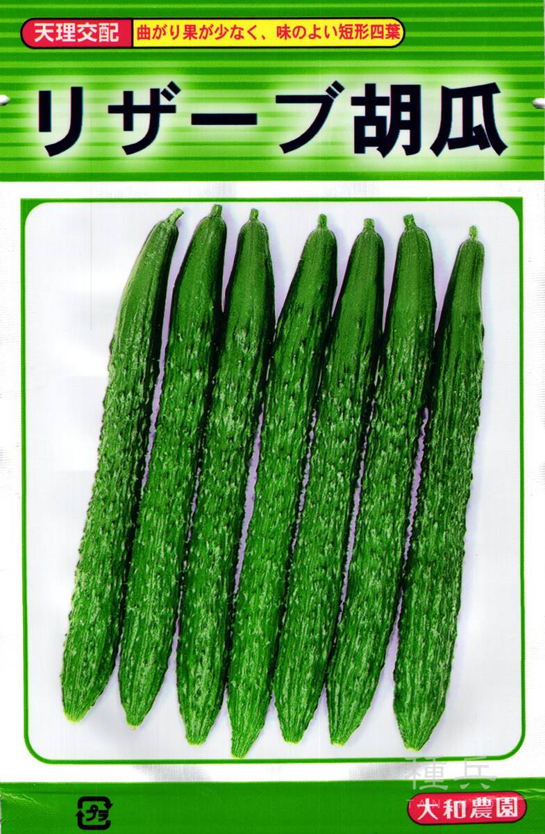 四葉キュウリ 種 『リザーブ』  大和農園