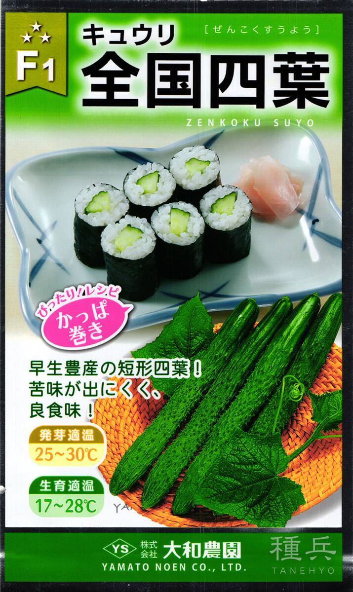 四葉キュウリ 種 『全国四葉』  大和農園