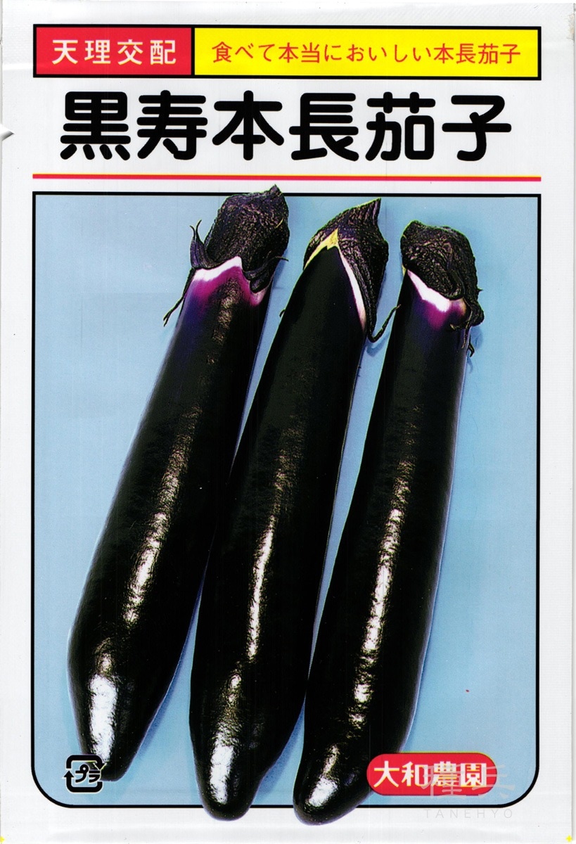 長ナス 種 『黒寿本長』  大和農園