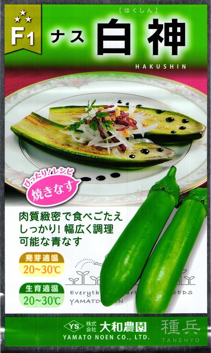 緑皮ナス 種 『白神』  大和農園