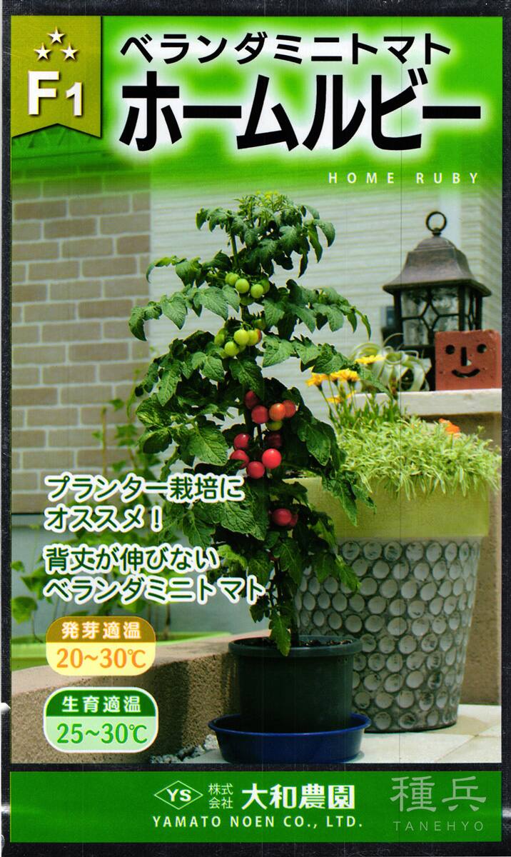 ミニトマト 種 『ホームルビー』 大和農園 | たね,果菜の種,トマト