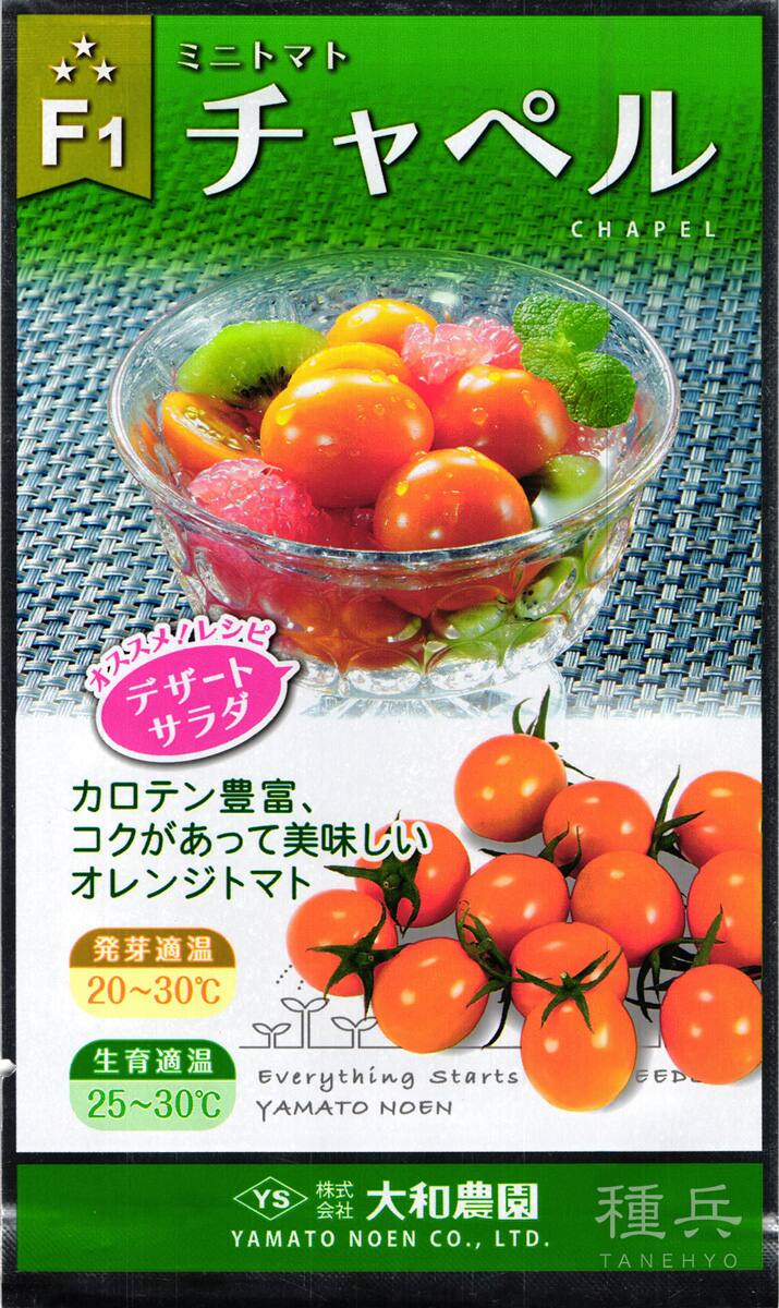 ミニトマト　美味しい　12㎏ ミニトマト 美味しい 12㎏