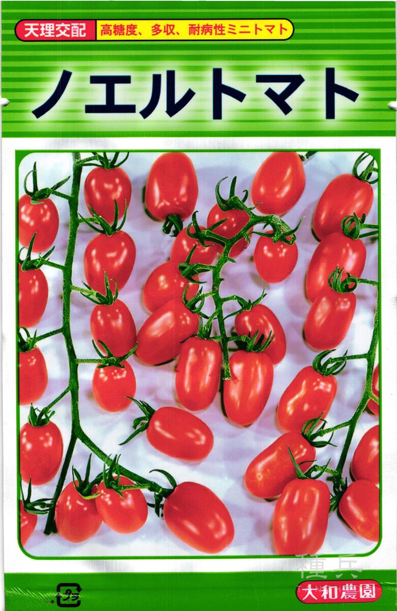 トマトページ ミニトマト 種 『ノエル』 大和農園 | たね,果菜の種,トマト,ミニ