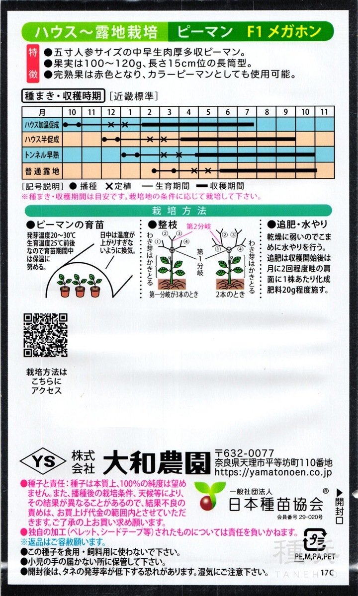 ジャンボピーマン 種 『メガホン』 大和農園 | たね,果菜の種,ピーマン