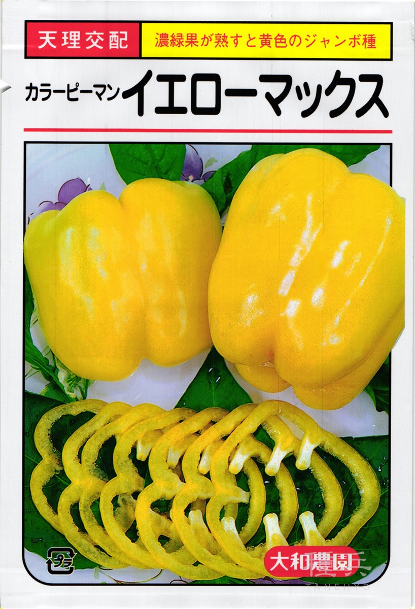 ピーマン様 楽天市場】ピーマン（ぴーまん） 130g 500g 4kg 九州産・鹿児島・宮崎