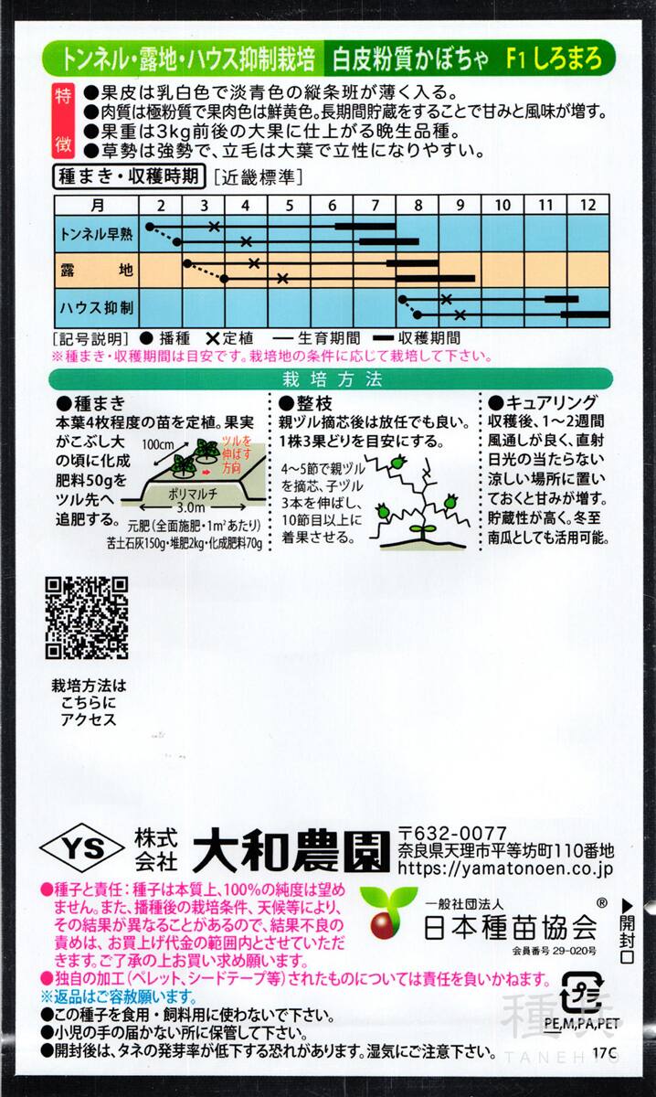 白皮カボチャ 種 『しろまろ』 大和農園 | たね,果菜の種,カボチャ,栗