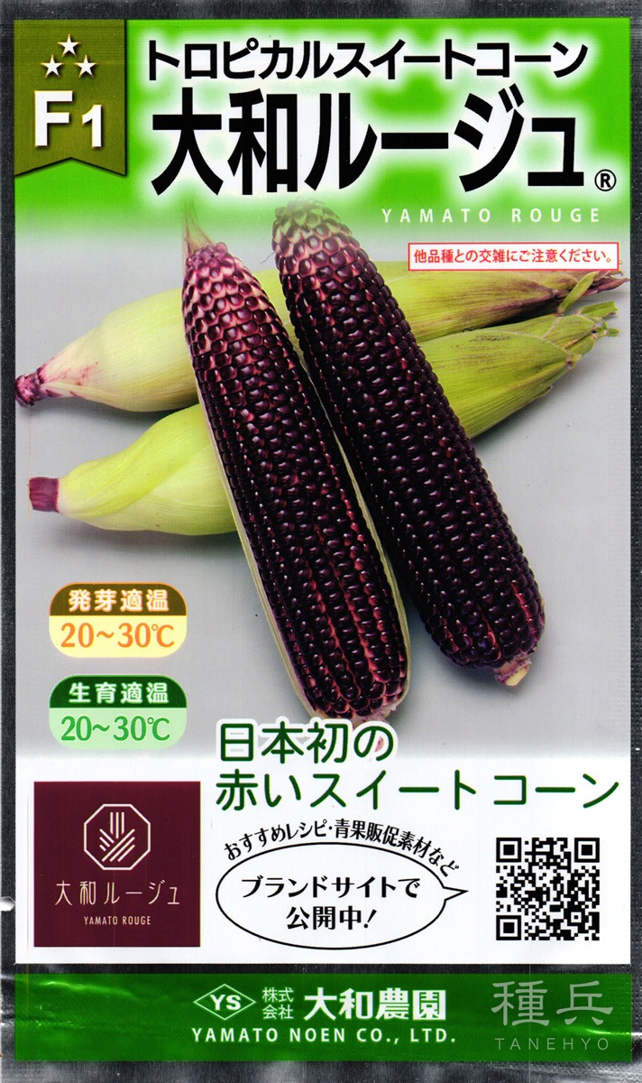 赤色スイートコーン 種 『大和ルージュ』  大和農園