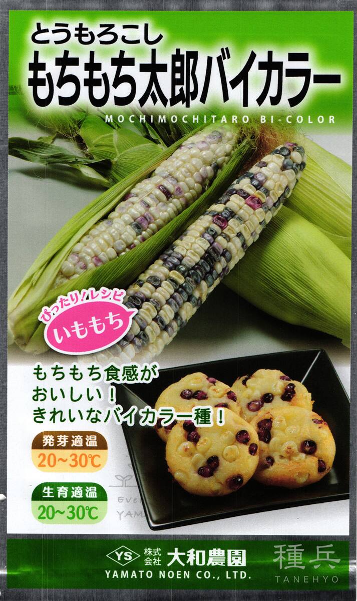 白紫トウモロコシ 種 『もちもち太郎バイカラー』  大和農園