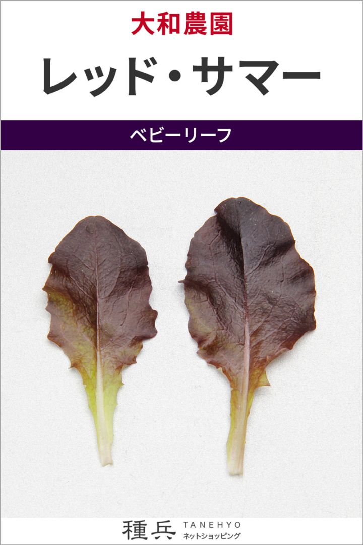 ベビーリーフ 種 『レッド・サマー』  大和農園