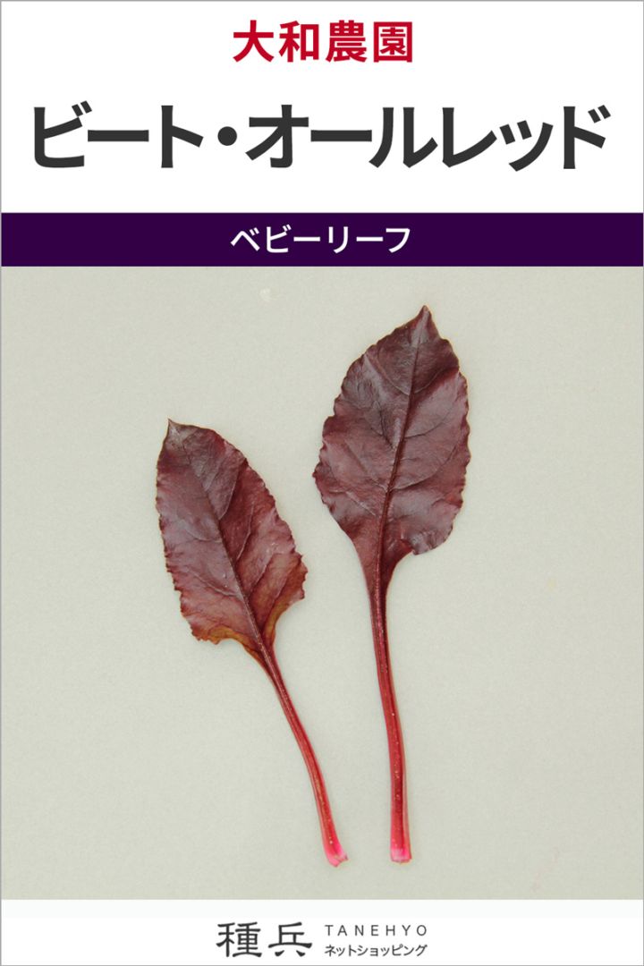 ベビーリーフ 種 『ビート・オールレッド』  大和農園