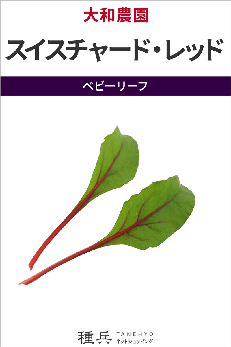 ベビーリーフ 種 『スイスチャード・レッド』  大和農園