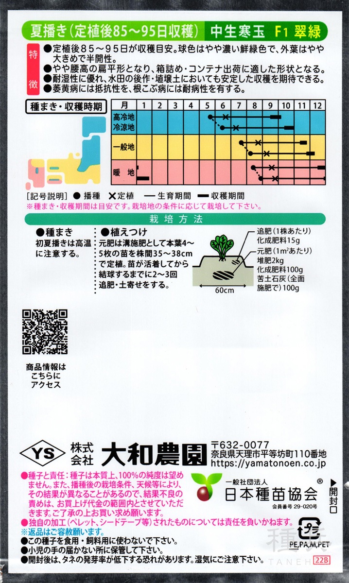 寒玉・中早生キャベツ 種 『翠緑』 大和農園 | たね,葉菜の種,キャベツ