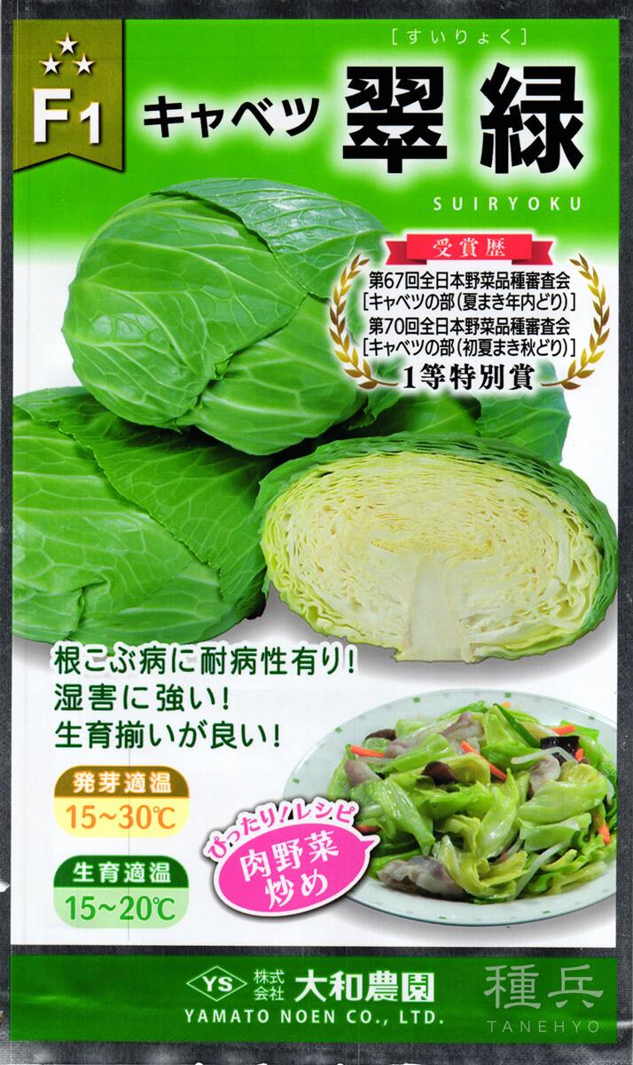 寒玉・中早生キャベツ 種 『翠緑』 大和農園 | たね,葉菜の種,キャベツ