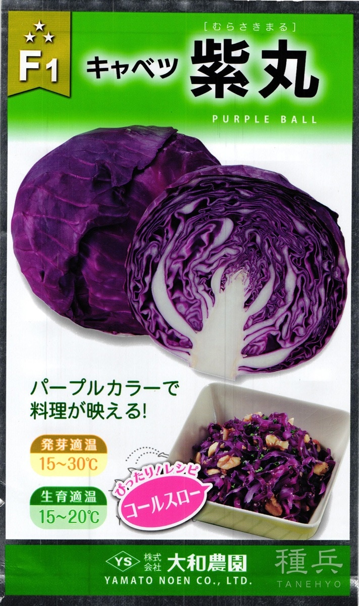 カリボスキャベツの種(紫とんがりキャベツ) ポリフェノールを含む赤紫とんがりキャベツ 種 30粒 F1 新品種
