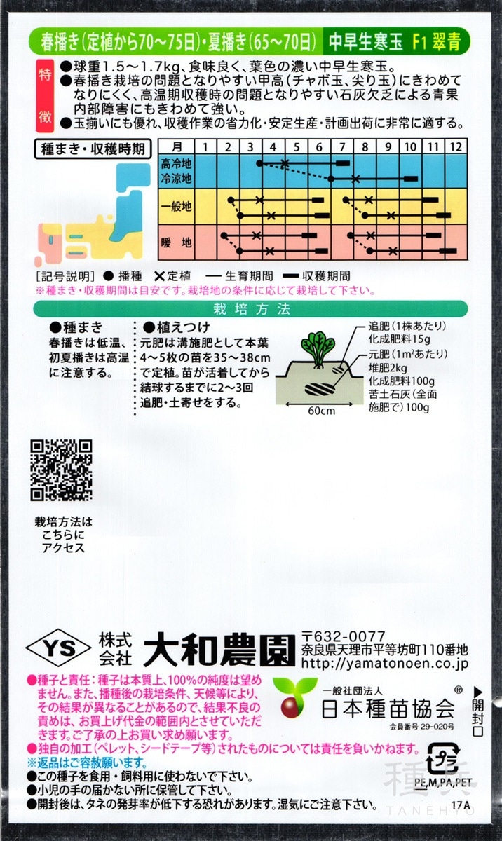 寒玉・中早生キャベツ 種 『翠青』 大和農園 | たね,葉菜の種,キャベツ