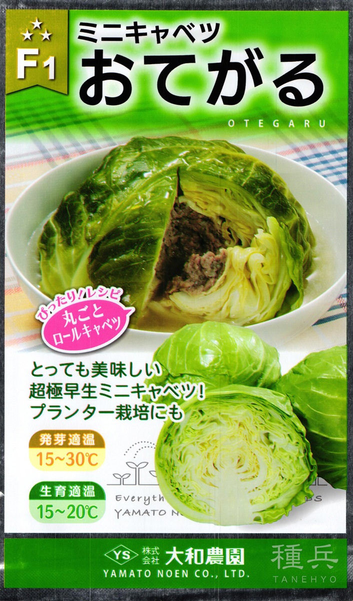 ボール・超極早生キャベツ 種 『おてがる』 大和農園 | たね,葉菜の種