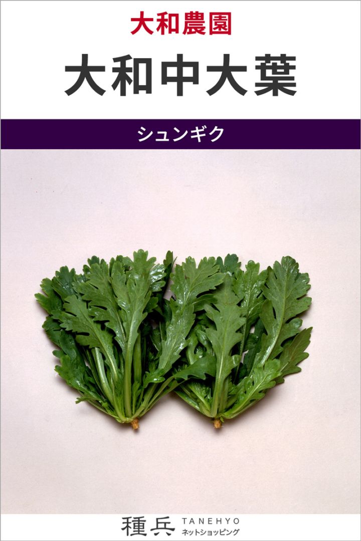 シュンギク 種 『大和中大葉』  大和農園