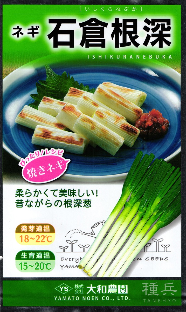 根深ネギ 種 『石倉根深』  大和農園