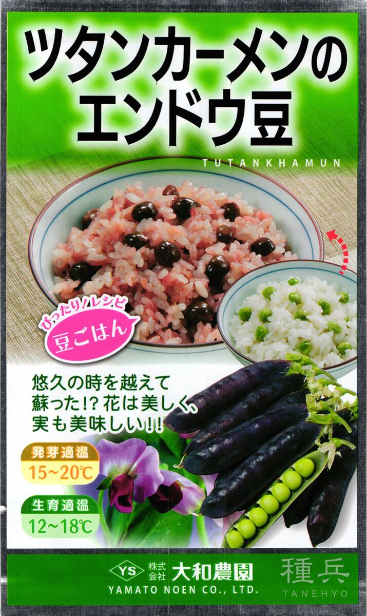 つる有りエンドウ 種 『ツタンカーメンのエンドウ豆』  大和農園