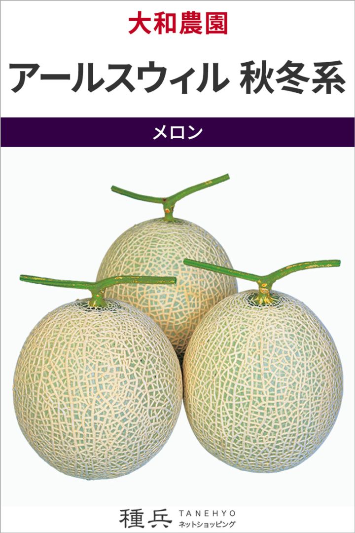 緑肉ネットメロン 種 『アールスウィル 秋冬系』  大和農園