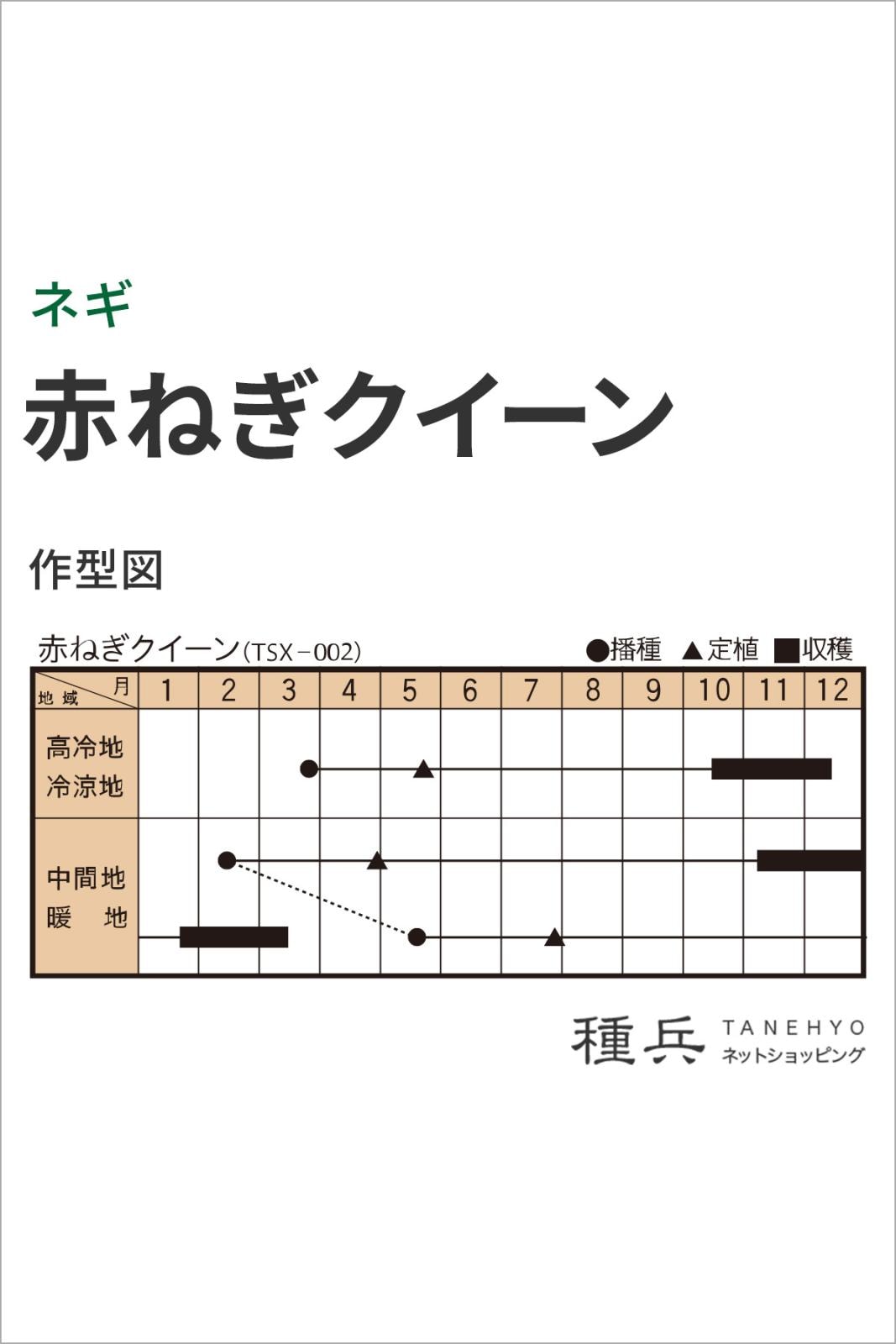 赤根深ネギ 種 『赤ねぎクイーン』 トキタ種苗 | たね,葉菜の種,ネギ