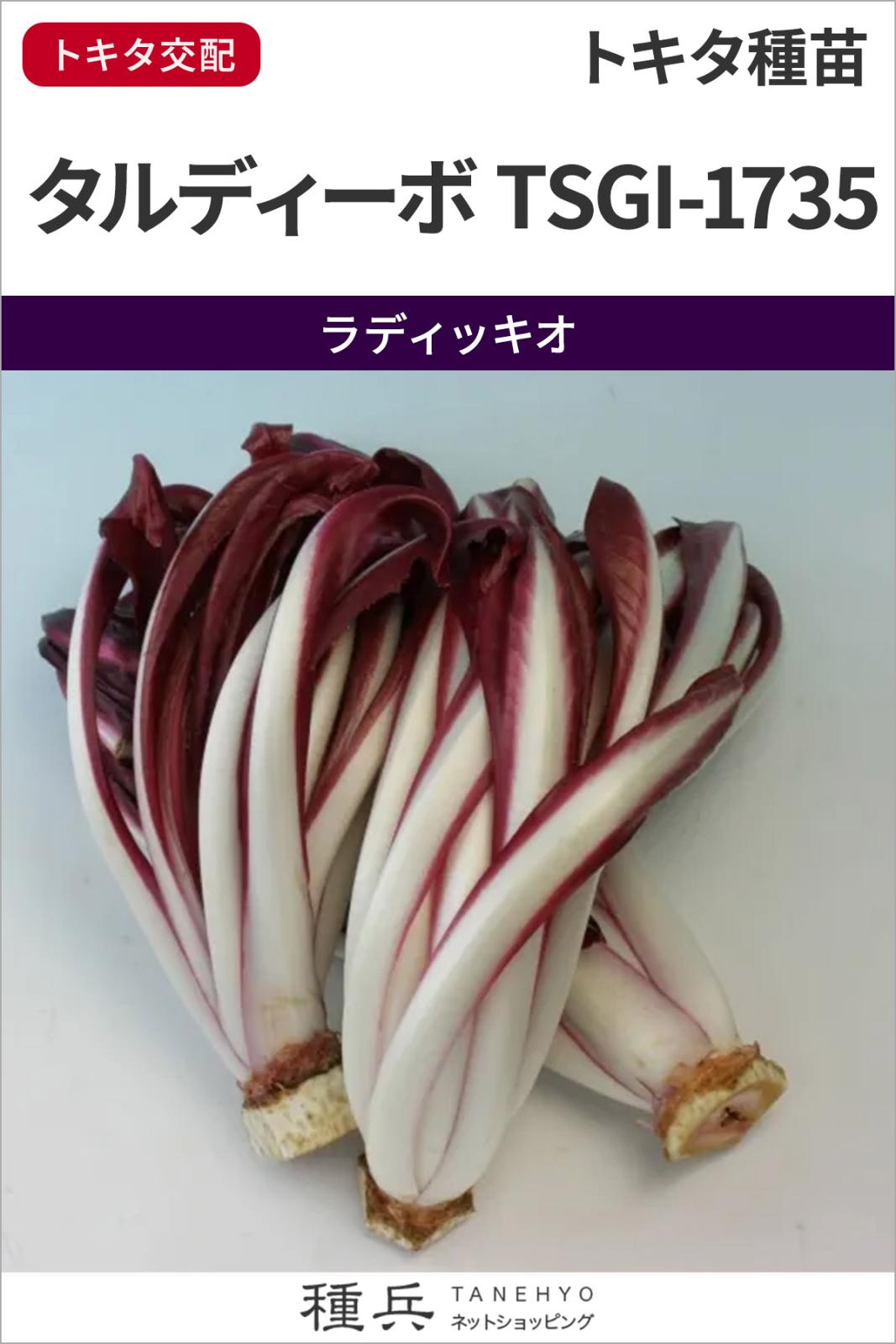 ラディッキオ 種 『タルディーボTSGI-1735』  トキタ種苗