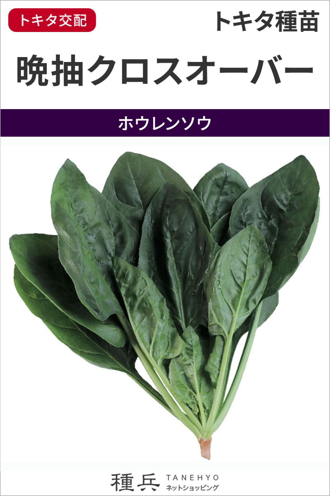 ホウレンソウ 種 『晩抽クロスオーバー』  トキタ種苗