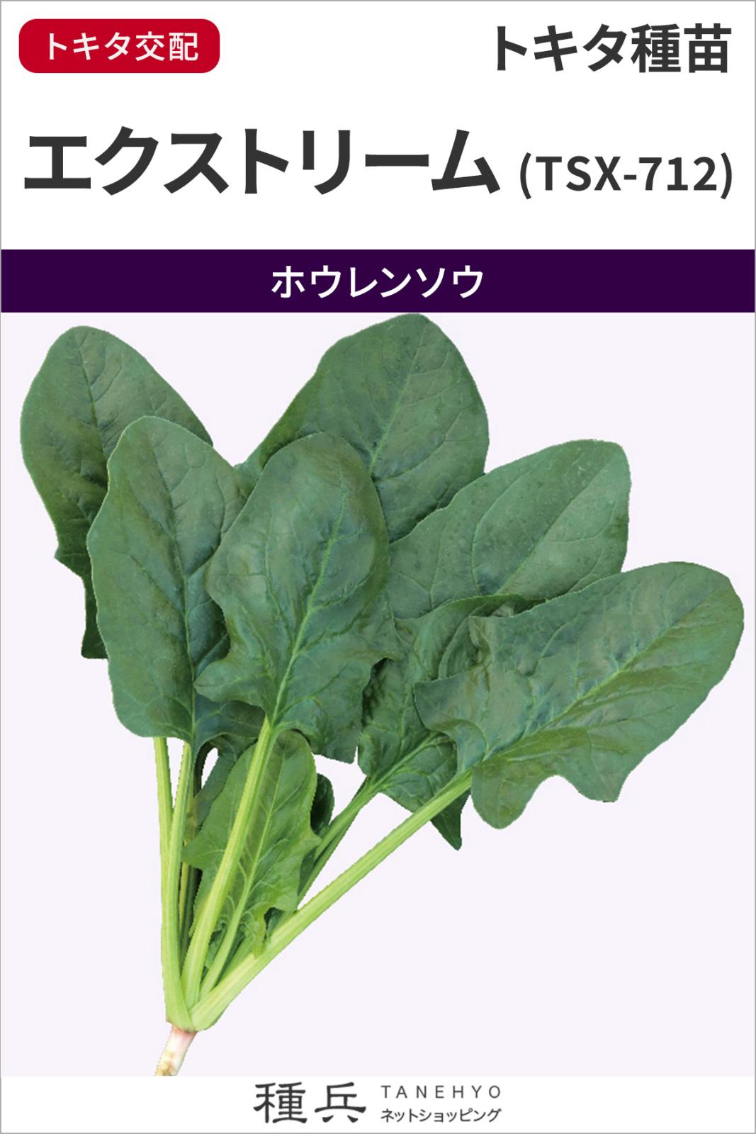 ホウレンソウ 種 『エクストリーム (TSX-712)』  トキタ種苗