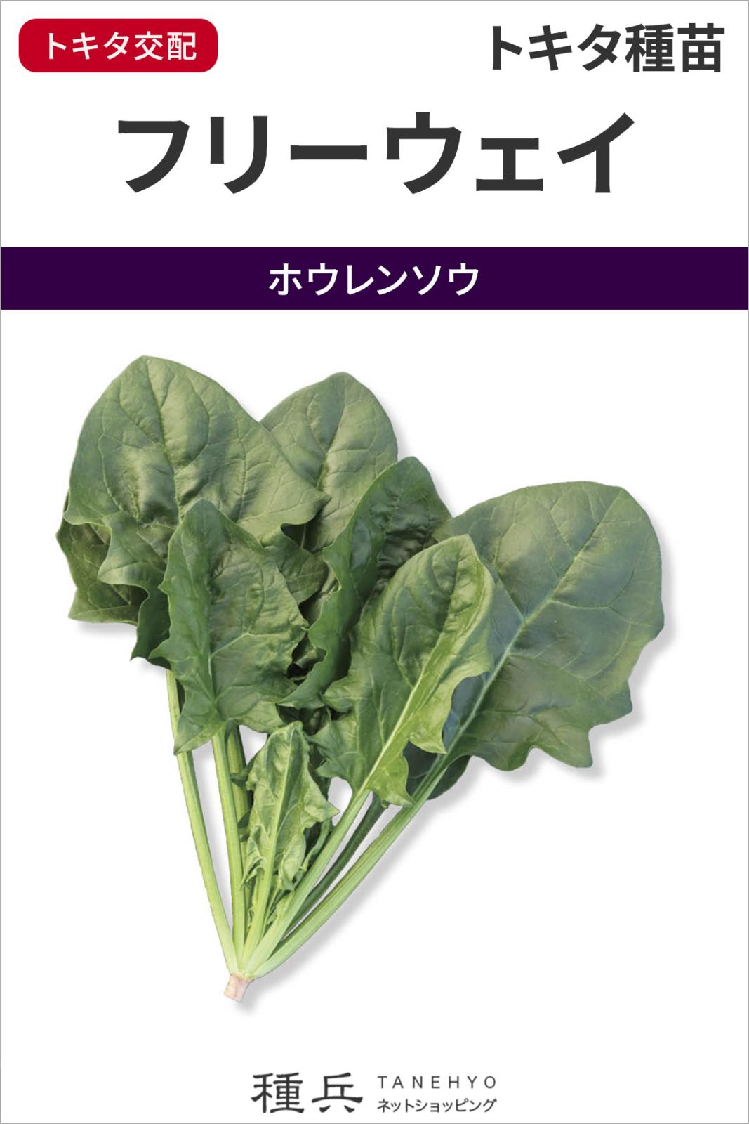 ホウレンソウ 種 『フリーウェイ』  トキタ種苗