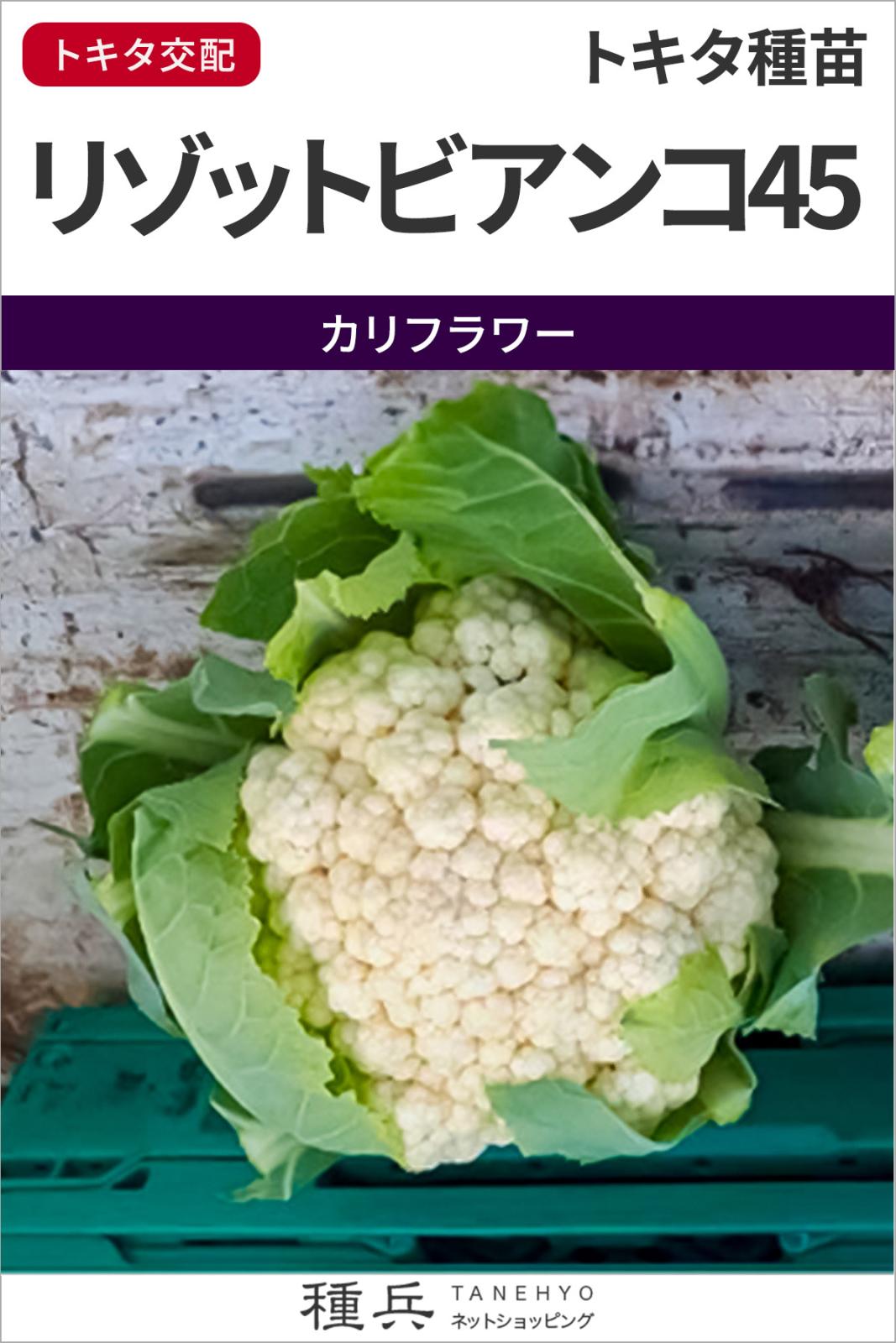 カリフラワー 種 『リゾットビアンコ４５』  トキタ種苗