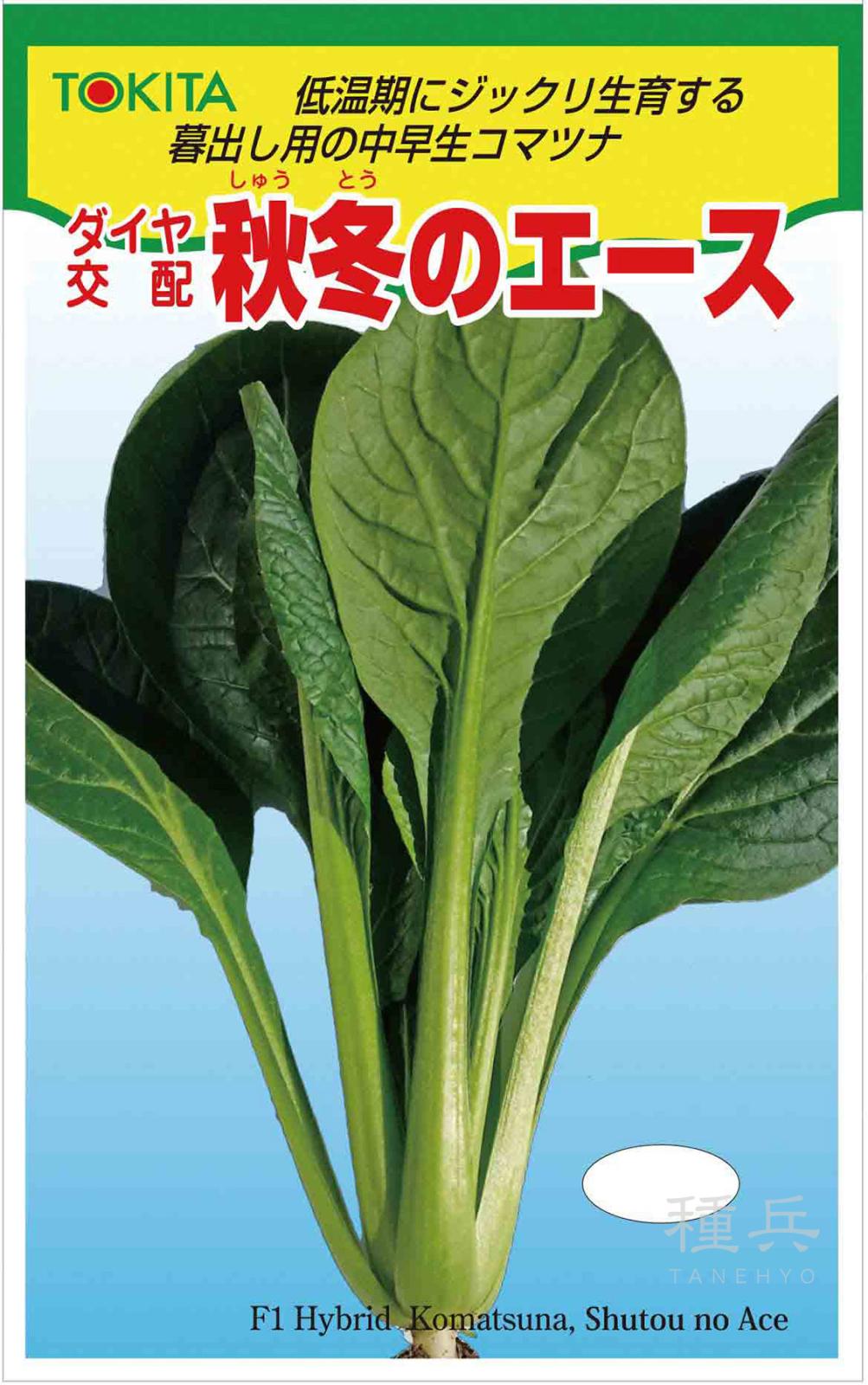 コマツナ 種 『秋冬のエース』  トキタ種苗