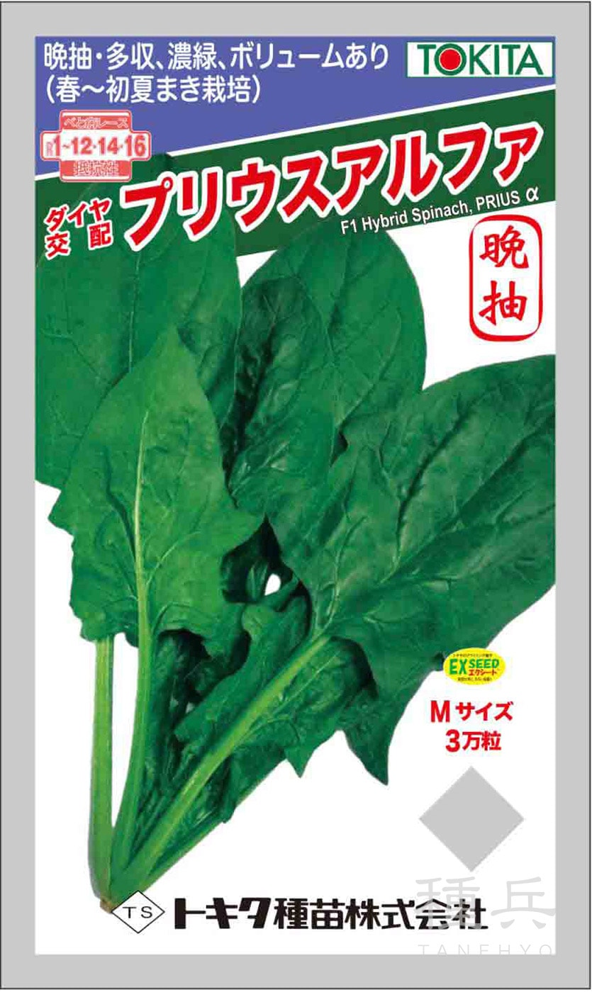 ホウレンソウ 種 『プリウスアルファ』  トキタ種苗