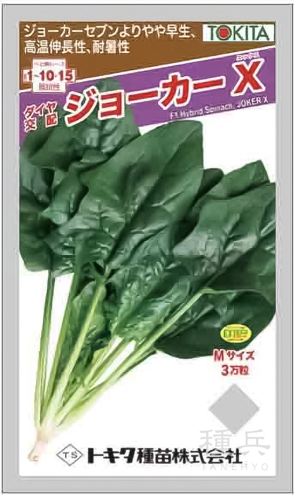 ホウレンソウ 種 『ジョーカーX』  トキタ種苗